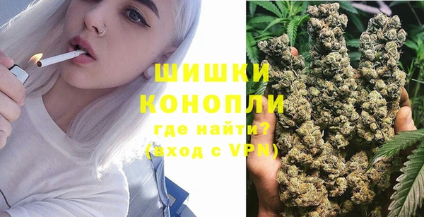 крисы Зеленокумск
