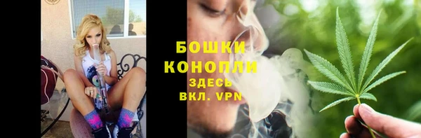 крисы Зеленокумск