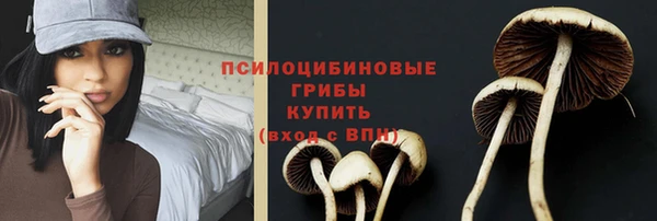 мдма Зеленодольск