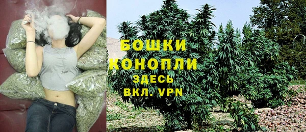 крисы Зеленокумск